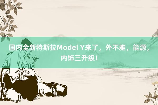 国内全新特斯拉Model Y来了，外不雅，能源，内饰三升级！