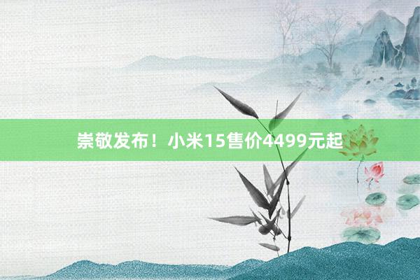 崇敬发布！小米15售价4499元起