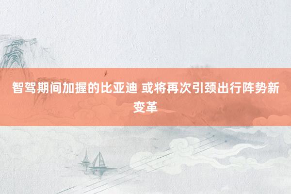 智驾期间加握的比亚迪 或将再次引颈出行阵势新变革