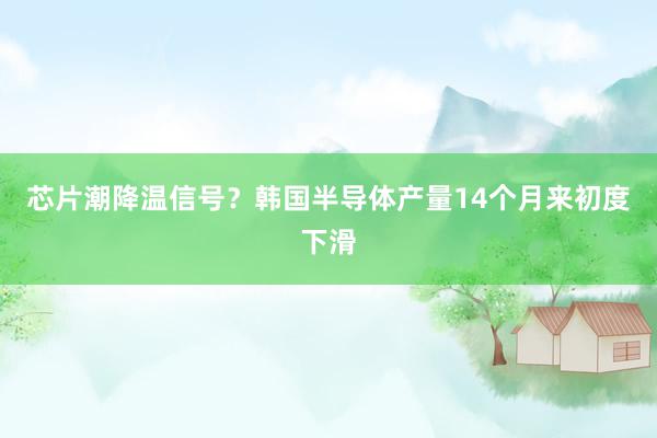 芯片潮降温信号？韩国半导体产量14个月来初度下滑