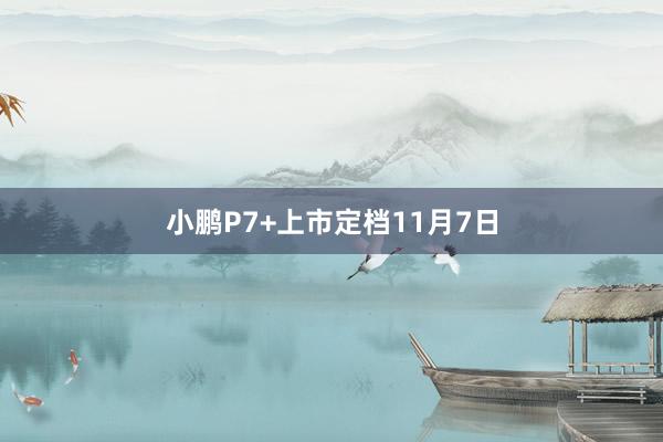 小鹏P7+上市定档11月7日