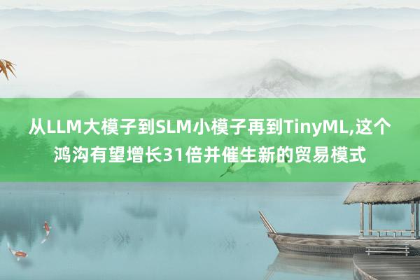 从LLM大模子到SLM小模子再到TinyML,这个鸿沟有望增长31倍并催生新的贸易模式