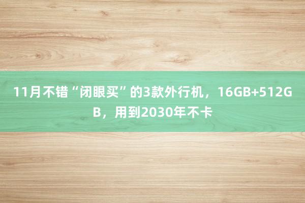 11月不错“闭眼买”的3款外行机，16GB+512GB，用到2030年不卡