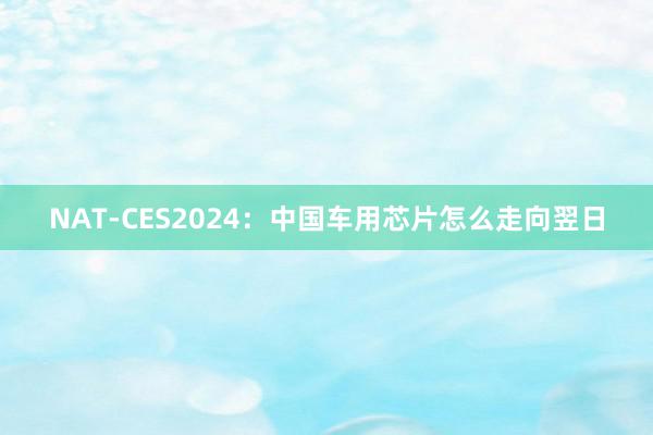 NAT-CES2024：中国车用芯片怎么走向翌日