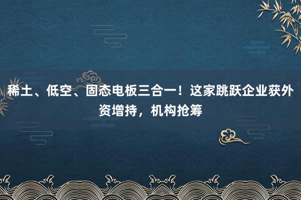 稀土、低空、固态电板三合一！这家跳跃企业获外资增持，机构抢筹