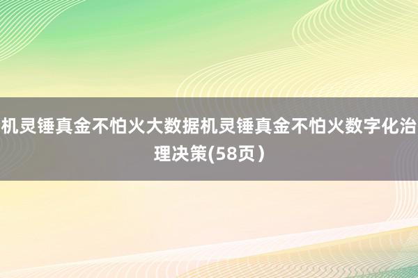 机灵锤真金不怕火大数据机灵锤真金不怕火数字化治理决策(58页）