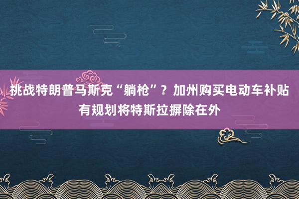 挑战特朗普马斯克“躺枪”？加州购买电动车补贴有规划将特斯拉摒除在外