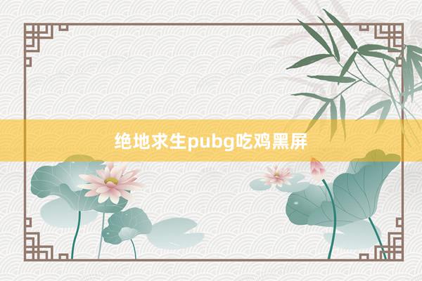 绝地求生pubg吃鸡黑屏