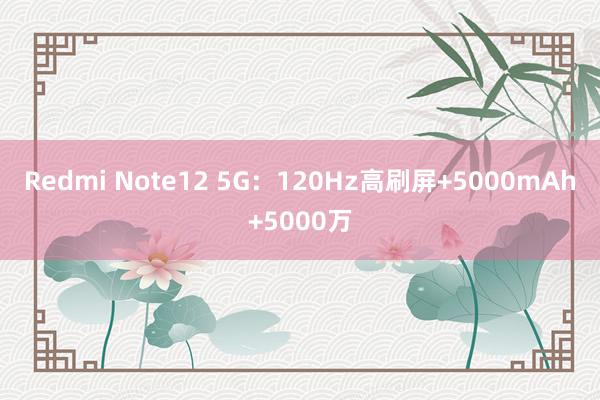 Redmi Note12 5G：120Hz高刷屏+5000mAh+5000万