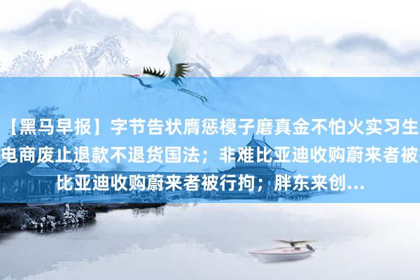 【黑马早报】字节告状膺惩模子磨真金不怕火实习生索赔800万；快手电商废止退款不退货国法；非难比亚迪收购蔚来者被行拘；胖东来创...