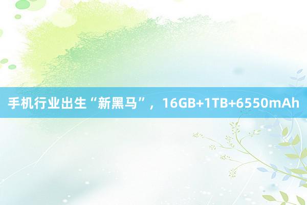 手机行业出生“新黑马”，16GB+1TB+6550mAh