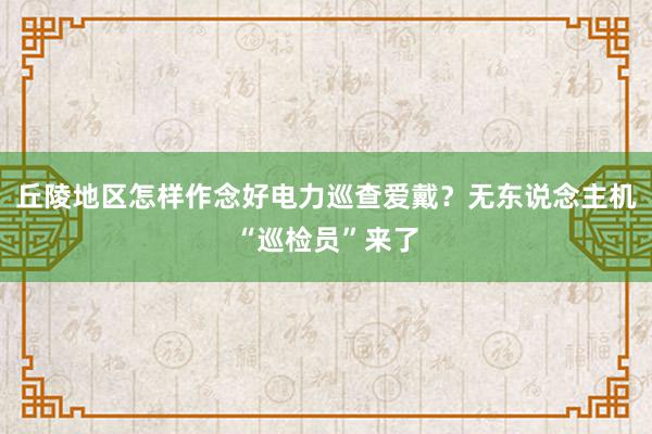 丘陵地区怎样作念好电力巡查爱戴？无东说念主机“巡检员”来了