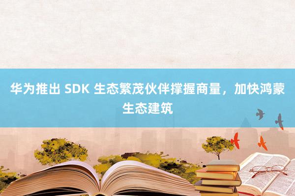 华为推出 SDK 生态繁茂伙伴撑握商量，加快鸿蒙生态建筑