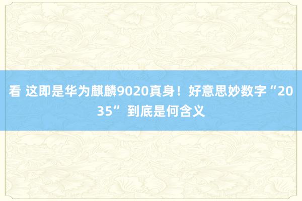 看 这即是华为麒麟9020真身！好意思妙数字“2035” 到底是何含义