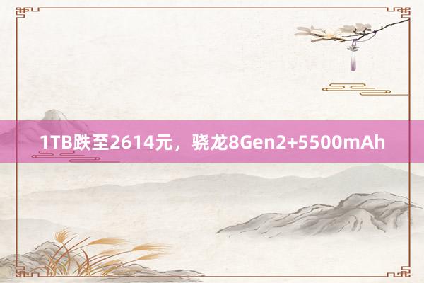 1TB跌至2614元，骁龙8Gen2+5500mAh