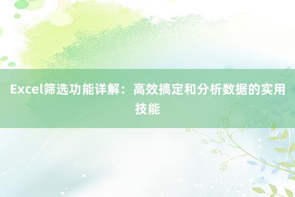 Excel筛选功能详解：高效搞定和分析数据的实用技能