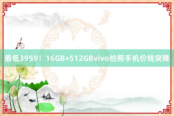 最低3959！16GB+512GBvivo拍照手机价钱突降