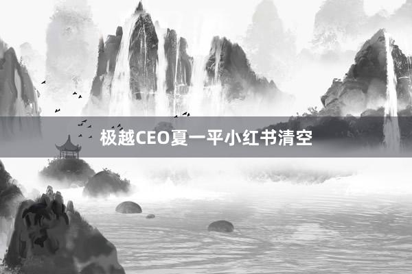 极越CEO夏一平小红书清空