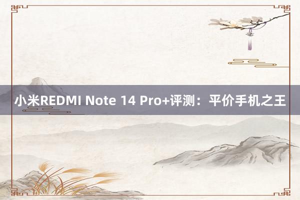 小米REDMI Note 14 Pro+评测：平价手机之王