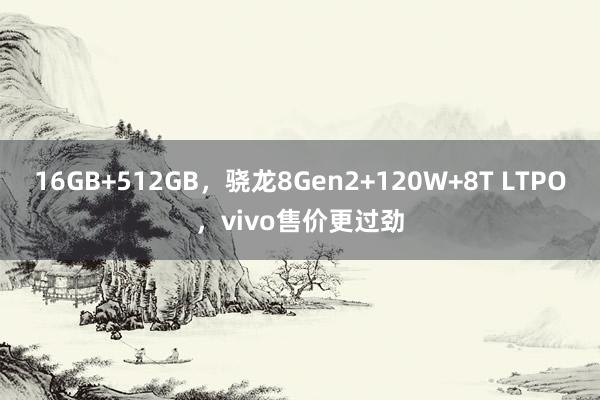 16GB+512GB，骁龙8Gen2+120W+8T LTPO，vivo售价更过劲