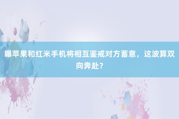 曝苹果和红米手机将相互鉴戒对方蓄意，这波算双向奔赴？