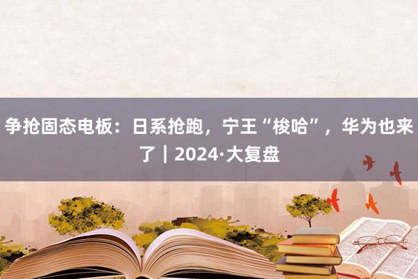 争抢固态电板：日系抢跑，宁王“梭哈”，华为也来了｜2024·大复盘