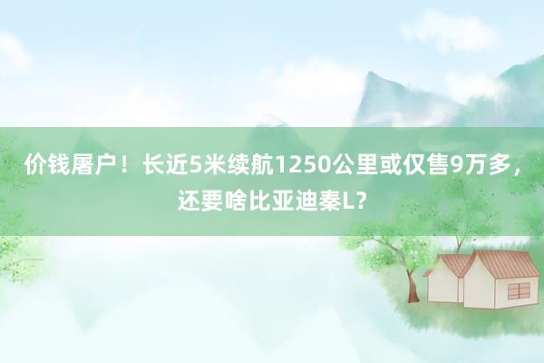 价钱屠户！长近5米续航1250公里或仅售9万多，还要啥比亚迪秦L？