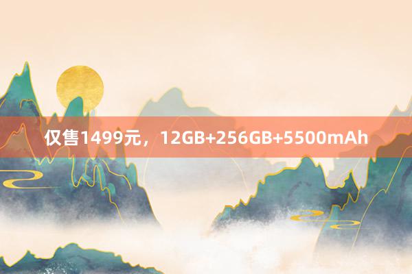 仅售1499元，12GB+256GB+5500mAh