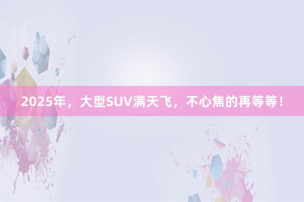 2025年，大型SUV满天飞，不心焦的再等等！