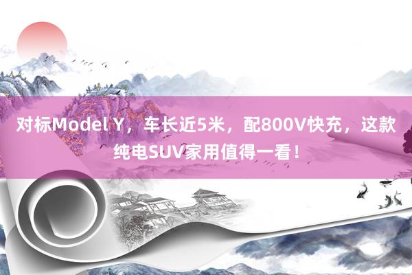 对标Model Y，车长近5米，配800V快充，这款纯电SUV家用值得一看！