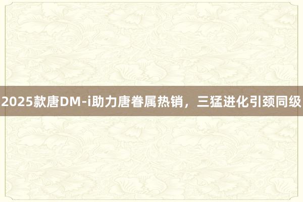 2025款唐DM-i助力唐眷属热销，三猛进化引颈同级