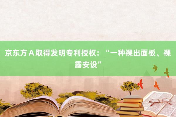 京东方Ａ取得发明专利授权：“一种裸出面板、裸露安设”