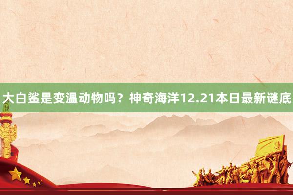 大白鲨是变温动物吗？神奇海洋12.21本日最新谜底