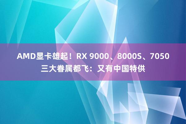 AMD显卡雄起！RX 9000、8000S、7050三大眷属都飞：又有中国特供