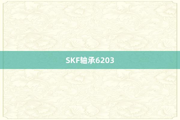 SKF轴承6203