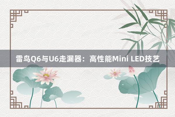 雷鸟Q6与U6走漏器：高性能Mini LED技艺