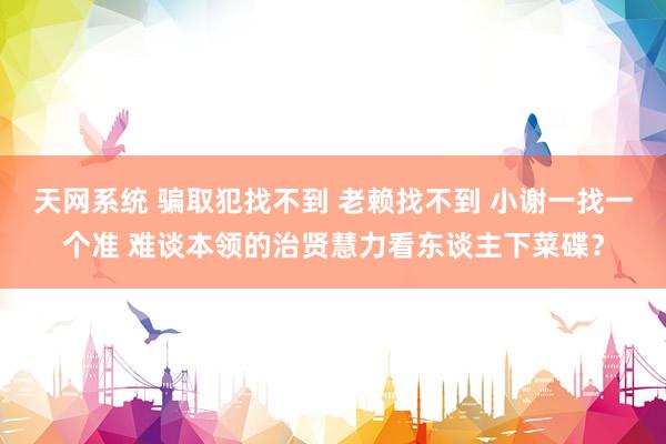 天网系统 骗取犯找不到 老赖找不到 小谢一找一个准 难谈本领的治贤慧力看东谈主下菜碟？