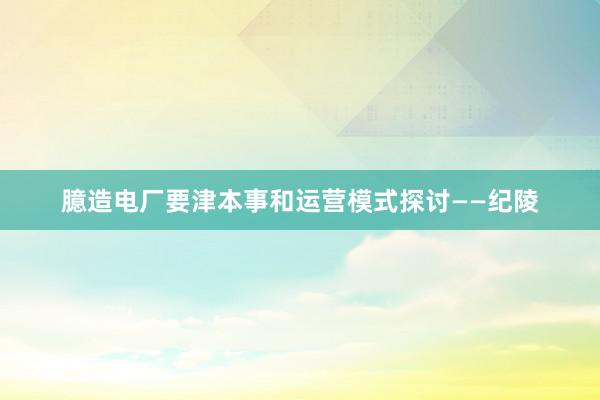 臆造电厂要津本事和运营模式探讨——纪陵