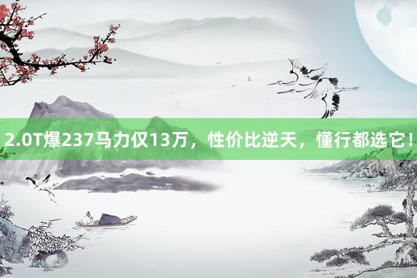 2.0T爆237马力仅13万，性价比逆天，懂行都选它！