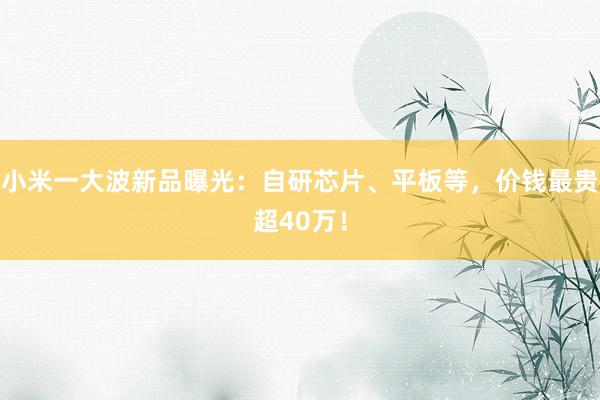 小米一大波新品曝光：自研芯片、平板等，价钱最贵超40万！