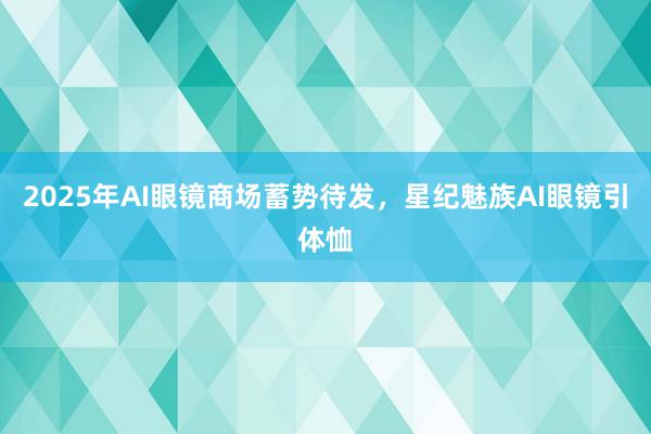 2025年AI眼镜商场蓄势待发，星纪魅族AI眼镜引体恤