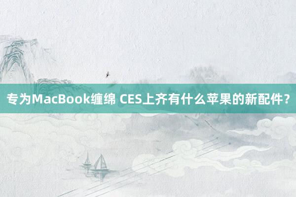 专为MacBook缠绵 CES上齐有什么苹果的新配件？