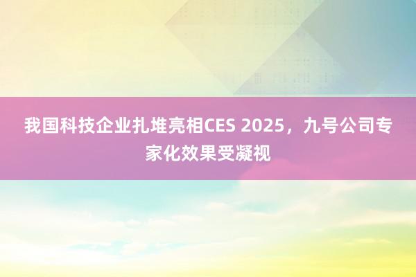 我国科技企业扎堆亮相CES 2025，九号公司专家化效果受凝视