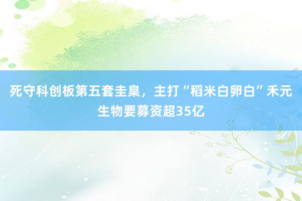 死守科创板第五套圭臬，主打“稻米白卵白”禾元生物要募资超35亿