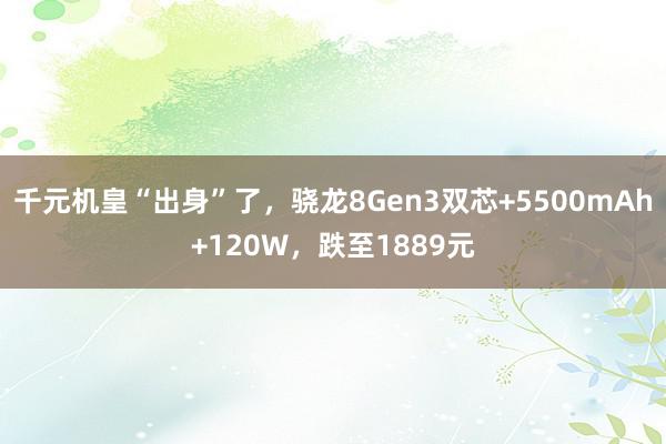 千元机皇“出身”了，骁龙8Gen3双芯+5500mAh+120W，跌至1889元