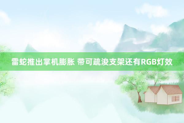 雷蛇推出掌机膨胀 带可疏浚支架还有RGB灯效