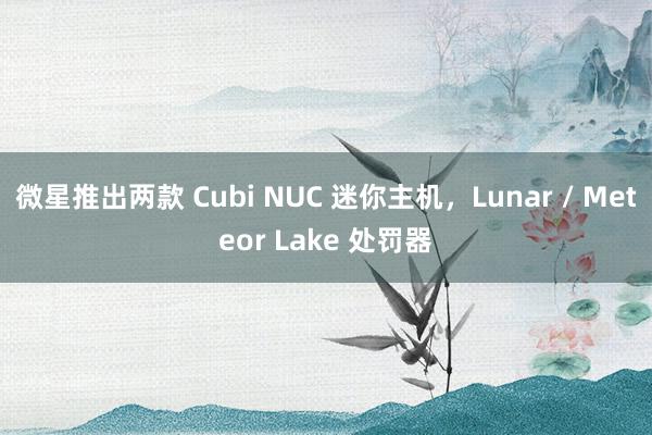 微星推出两款 Cubi NUC 迷你主机，Lunar / Meteor Lake 处罚器