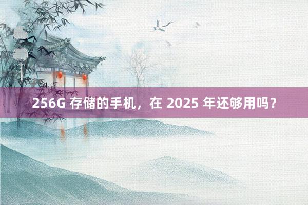 256G 存储的手机，在 2025 年还够用吗？