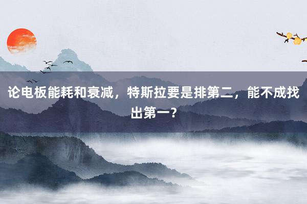 论电板能耗和衰减，特斯拉要是排第二，能不成找出第一？