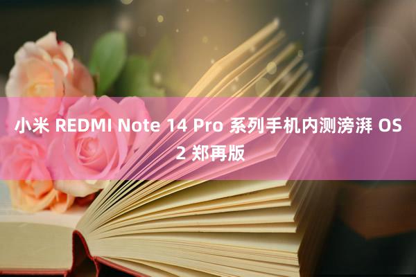 小米 REDMI Note 14 Pro 系列手机内测滂湃 OS 2 郑再版